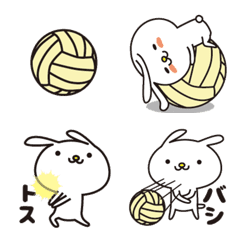 Rabbit and volleyball