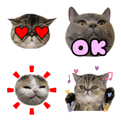 Emoji of Lively 4 sisters