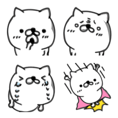 毎日じゅんじょうにゃんこ