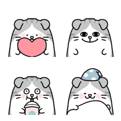 Very cute Scottish fold emoji