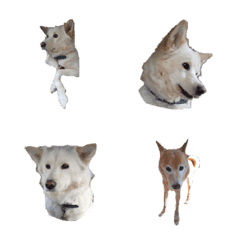  Emoji of chobi