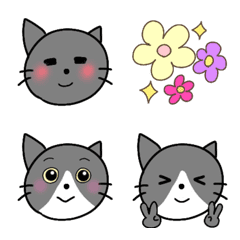 gray cat Misao British shorthair emoji