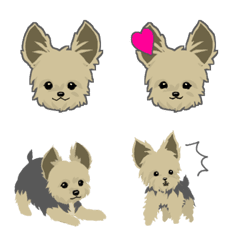 Cutie Yorkshire Terrier emoji