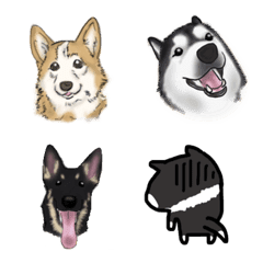 DOGs Daily emoji