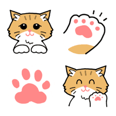Orange and White Cat Emoji
