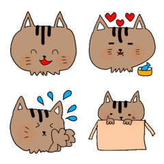 Brown tabby cat Kikumo
