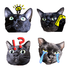 black cat baron Emoji