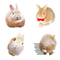 Photo!Usable rabbit Emoji NO2.