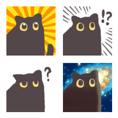 Calm Black Cat