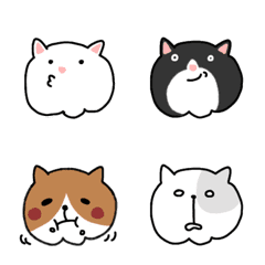 Cat gathering
