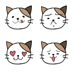 Nyansuke Cat 1