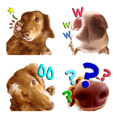 Dax Fund's cute emoji