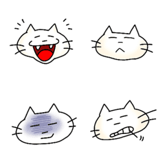 Zucky cat's various expressions