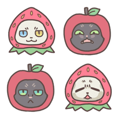 Charming cat:Strawberries and apple