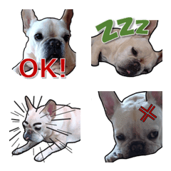 French bulldog real emoji