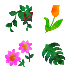 Plants,flowers frames