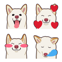 Shiba Inu(cachorro)-branco-emoticons 1/2