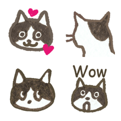 Tuxedo cat named OTANE