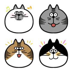 Cat and cat meow