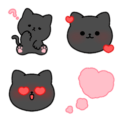 A black cat, KKaMyam 2