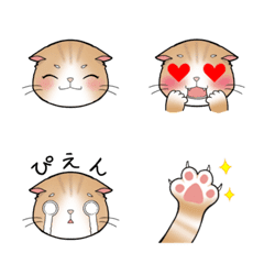 Scottish every day. Cat emoji