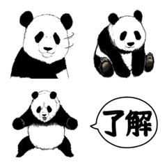 panda panda panda!(tw)