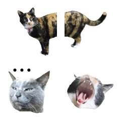 Cat&Cat emoji