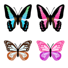 7 colors butterfly 