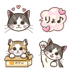 Good listener Kitten's Emoji