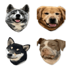 wanchan Emoji 2