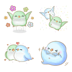 Happy Cute Monk Parrot - Pure&Snow Daily