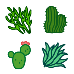 Succulent,cactus,leaf frames