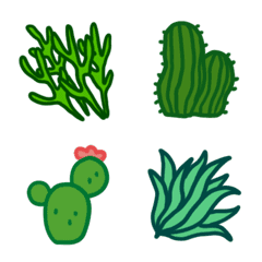 Succulent,cactus,leaf frames