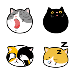 五貓