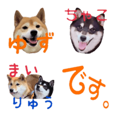 SHIBA-KAI Emoji