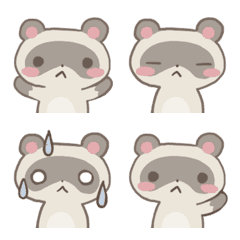 raccoon expression