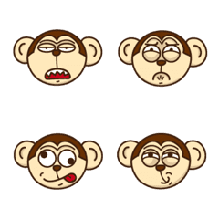 T.K monkey