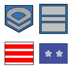SDF rank badge 2(MSDF.Type A)