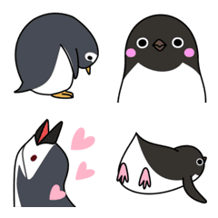 ３種類のペンギンさん（ピゴセリス属）