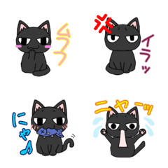 Crusty black cat