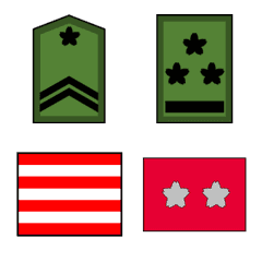 SDF rank badge 1(GSDF)