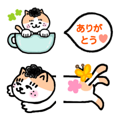 Cat human daily conversation Emoji 4