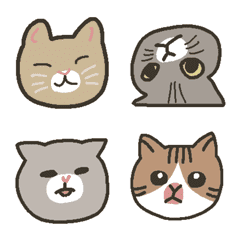Many kinds of cats