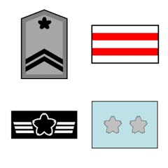 SDF rank badge 4(ASDF)