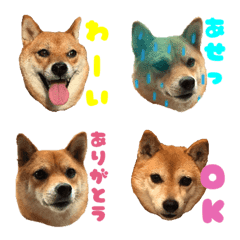 chiyoko Emoji