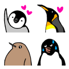 Penguin kingdom !