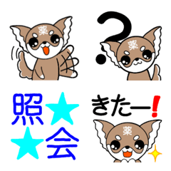 Pharmaceutical Chihuahuas emoji