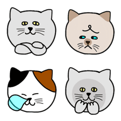 Big Face Cats Emoji