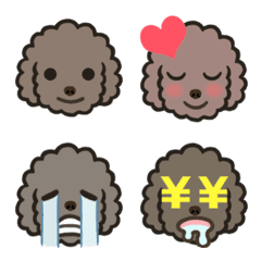 Gray and black poodle Kuroi-san