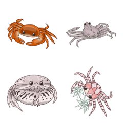 assortment of crabs 